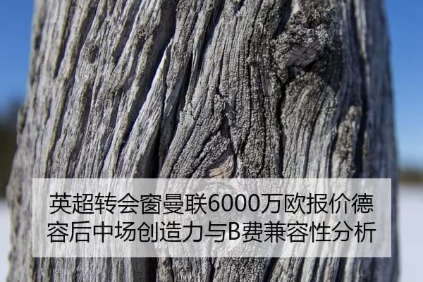 ying-chao-zhuan-hui-chuang-man-lian-wan-ou-bao-jia-de-rong-hou-zhong-chang-chuang-zao-li-yu-fei-jian-rong-xing-fen-xi-2-120.jpg