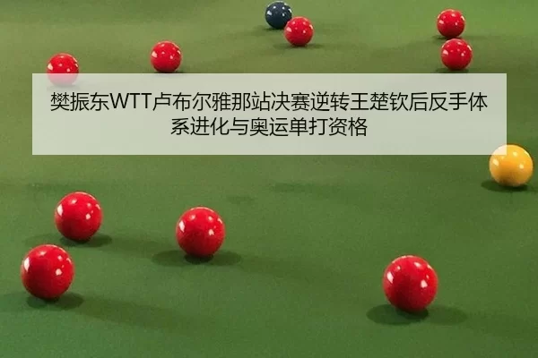 樊振东WTT卢布尔雅那站决赛逆转王楚钦后反手体系进化与奥运单打资格